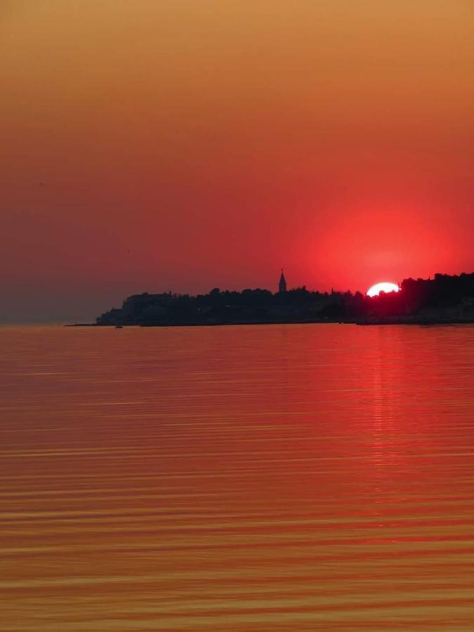 Apartments Roberta Novigrad Istria Kültér fotó